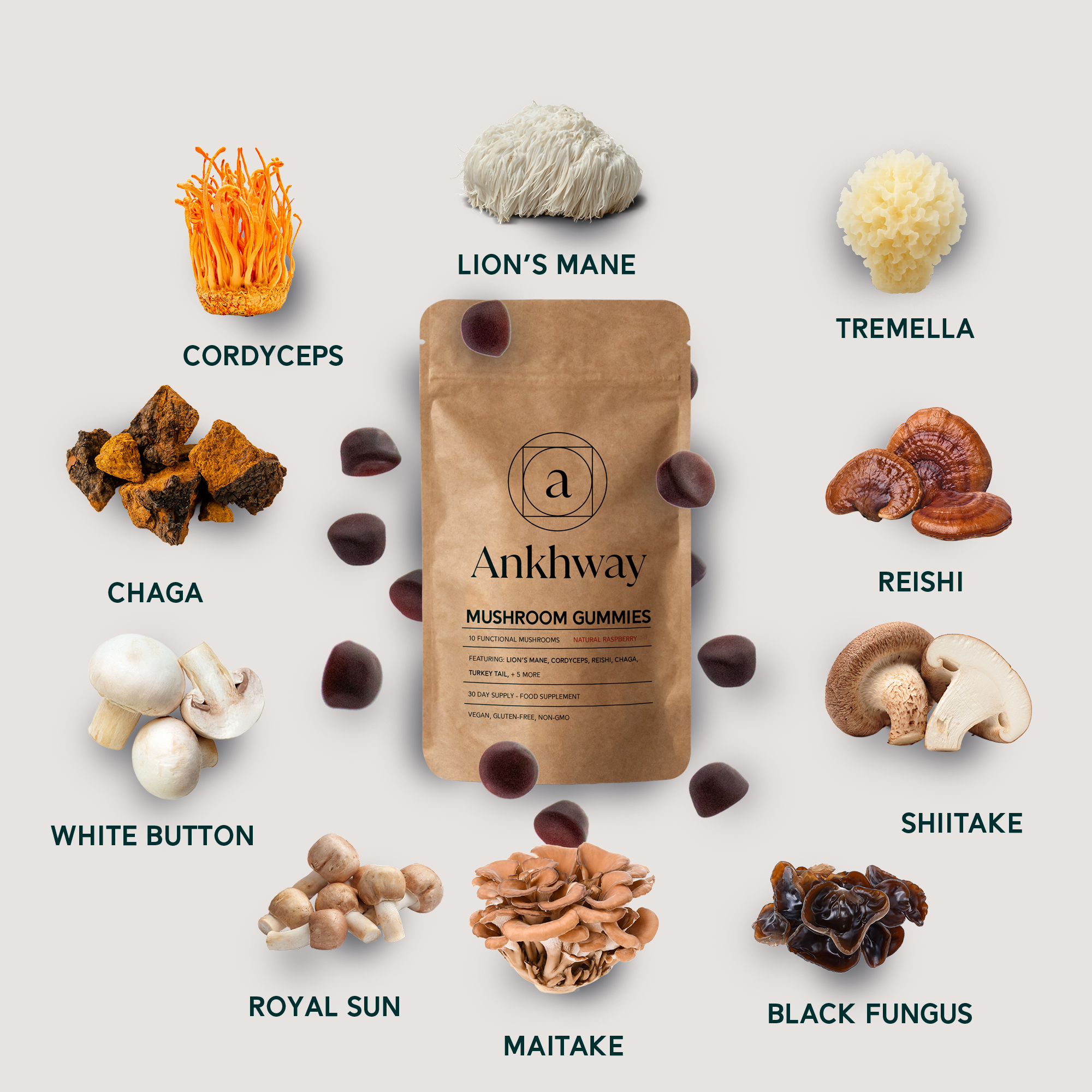 A single green leaf against a white background.